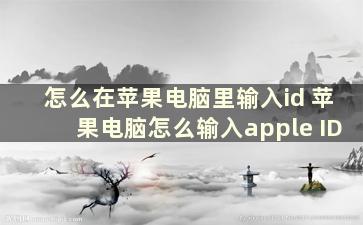 怎么在苹果电脑里输入id 苹果电脑怎么输入apple ID